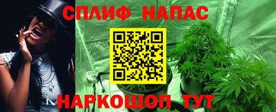 прущие грибы Малгобек