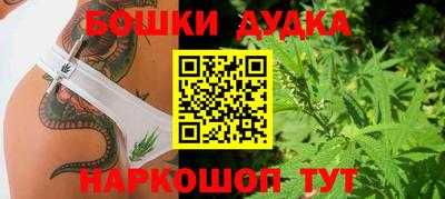 прущие грибы Малгобек