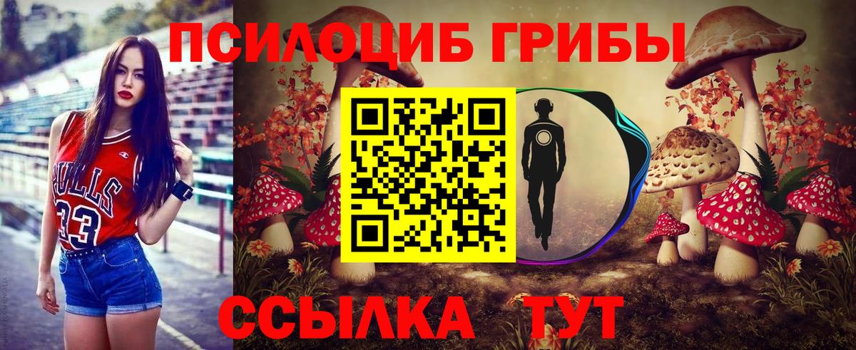Галлюциногенные грибы Cubensis  Вход с VPN  Волгоград  Псилоцибиновые грибы мухоморы 